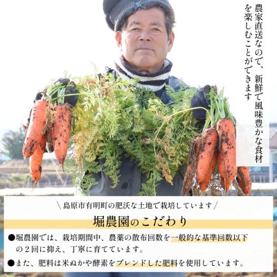 【訳あり】 堀農園のこだわり人参 約5kg