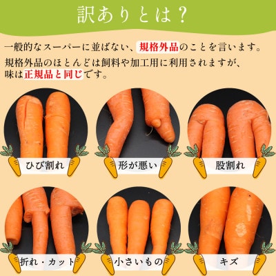 【訳あり】 堀農園のこだわり人参 約5kg