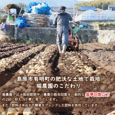 堀農園のじゃがいも・人参セット 約5kg