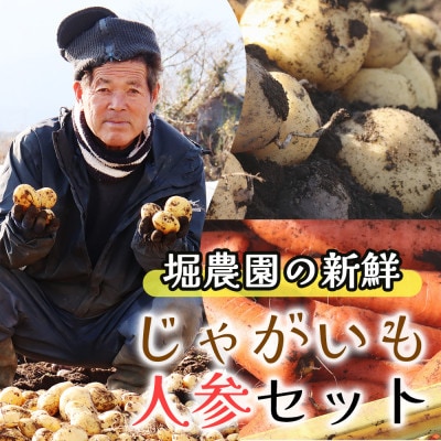堀農園のじゃがいも・人参セット 約10kg