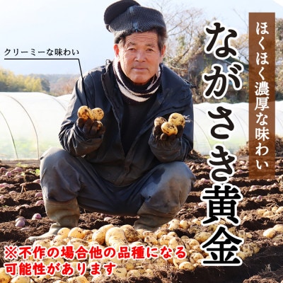 堀農園のじゃがいも・人参セット 約10kg