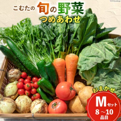 【10〜5月限定出荷】こむたの旬の野菜つめあわせ(8〜10品目)おまかせMセット