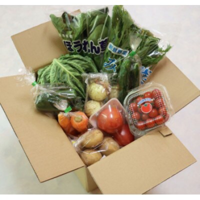 【10〜5月限定出荷】こむたの旬の野菜つめあわせ(8〜10品目)おまかせMセット