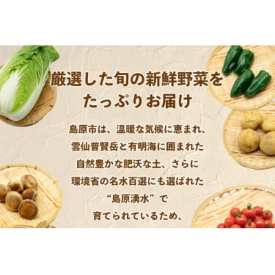 【発送月固定定期便】【1～5月限定出荷】こむたの旬の野菜(8～10品目)おまかせMセット全5回