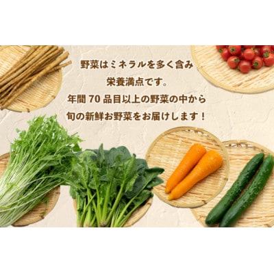 【発送月固定定期便】【1～5月限定出荷】こむたの旬の野菜(8～10品目)おまかせMセット全5回
