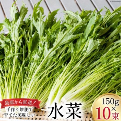 産地直送　水菜　10束