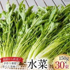 産地直送 水菜 30束