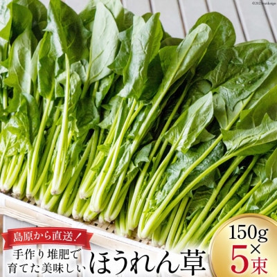 【毎月定期便】ほうれん草・水菜・小松菜の詰め合わせセット(15束)全6回
