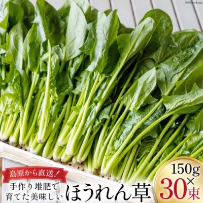 【毎月定期便】産地直送　ほうれん草　30束全12回