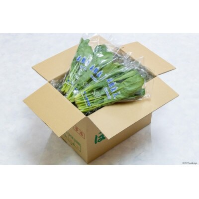 【毎月定期便】産地直送　ほうれん草　30束全12回