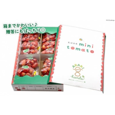 【小分けでうれしい♪】アイコトマト2.4kg(200g×12袋)