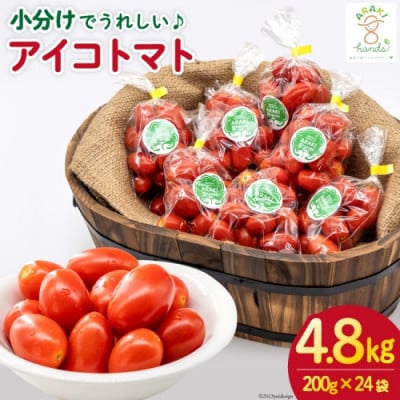 【小分けでうれしい♪】アイコトマト4.8kg(200g×24袋)