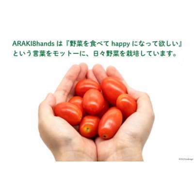 【小分けでうれしい♪】アイコトマト4.8kg(200g×24袋)