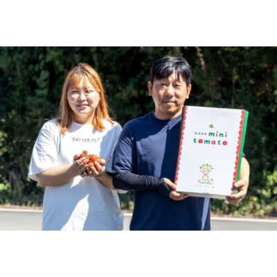 【小分けでうれしい♪】アイコトマト4.8kg(200g×24袋)