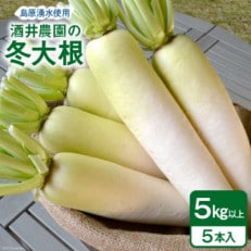 酒井農園の冬大根 5本(約5kg)