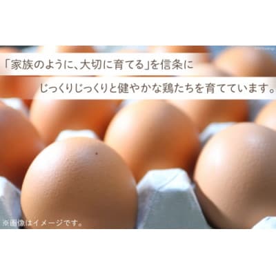【業務用】幸せの愛でたまご 10kg　【 島原市 直送 卵破損補償 】