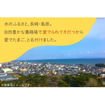 【業務用】幸せの愛でたまご 10kg　【 島原市 直送 卵破損補償 】