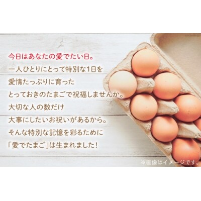 口福たまご(10個入)【 島原市 】
