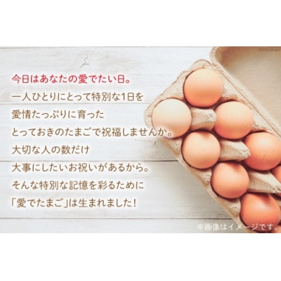 【毎月定期便】愛でたまご3種セット全12回