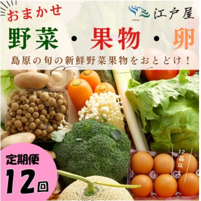 【毎月定期便】旬の野菜・フルーツ・卵(6個) おまかせセット全12回