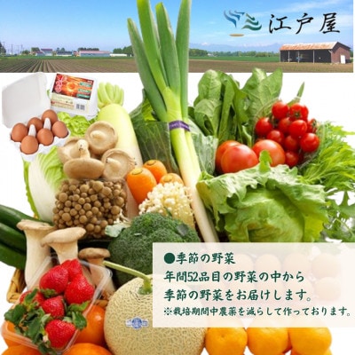 【毎月定期便】旬の野菜・フルーツ・卵(6個) おまかせセット全12回