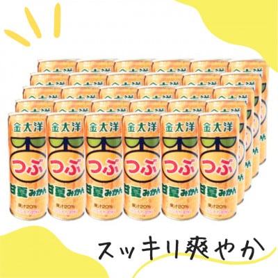 つぶ甘夏みかんドリンク 30本(各250g)(島原市)