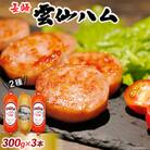 雲仙ハム ポークソーセージ 小(300g×2本)+ポークハム(300g×1本)