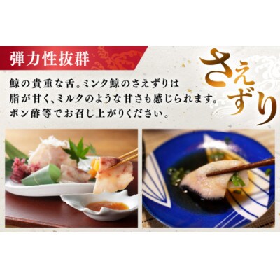 さえずりブロック約100g×4個セット(島原市)