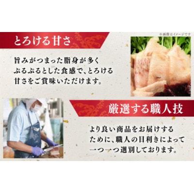 さえずりブロック約100g×4個セット(島原市)