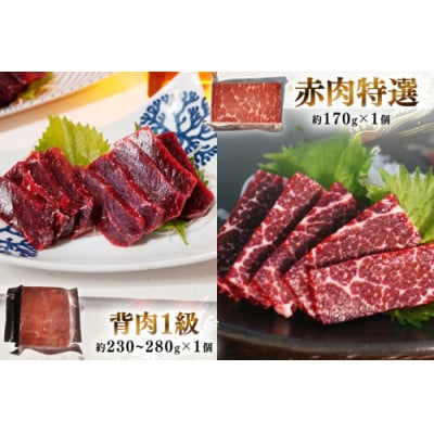 くじら赤肉4種詰め合わせ(小切れ・胸肉・背肉・特選)(島原市)