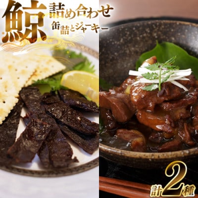 大和煮缶詰とジャーキーセット(各5個)(島原市)