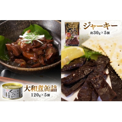 大和煮缶詰とジャーキーセット(各5個)(島原市)