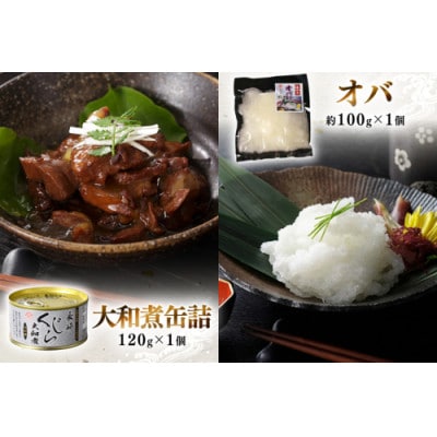 美味しい鯨5種詰め合わせAセット(島原市)