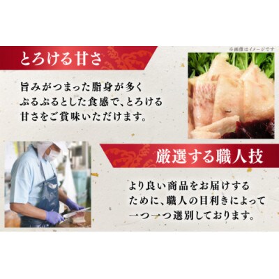 さえずりブロック約100g×6個セット(島原市)