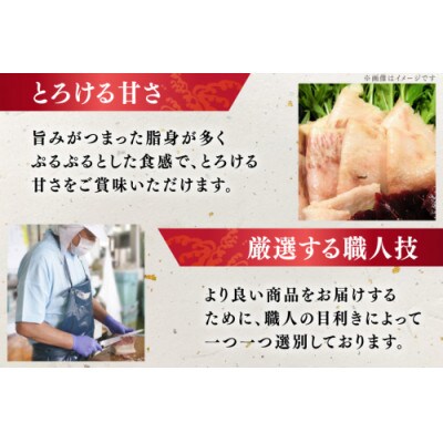 さえずりスライス約100g×6個セット(島原市)