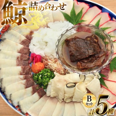 美味しい鯨5種詰め合わせBセット(5種)(島原市)