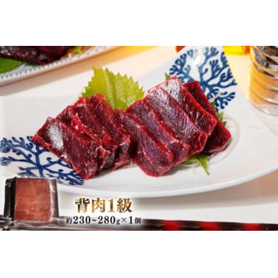 美味しい鯨3種詰め合わせAセット(胸肉・背肉・ベーコンスライス)(島原市)