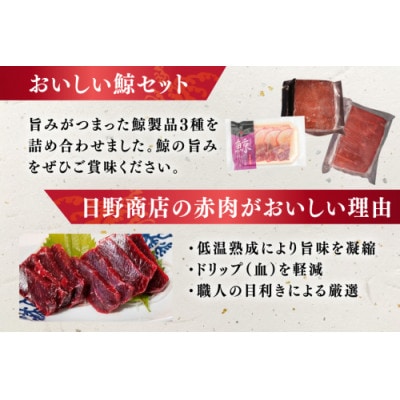 美味しい鯨3種詰め合わせAセット(胸肉・背肉・ベーコンスライス)(島原市)