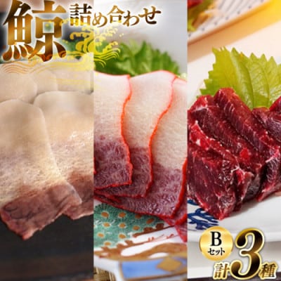 美味しい鯨3種詰め合わせBセット(背肉、ベーコンスライス約40g、すえひろスライス約40g)島原市