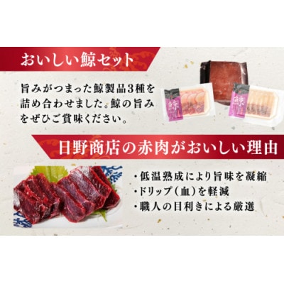 美味しい鯨3種詰め合わせBセット(背肉、ベーコンスライス約40g、すえひろスライス約40g)島原市