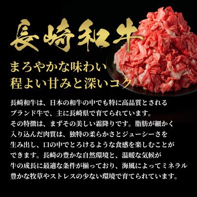 【和牛セレブ】長崎和牛 切り落としスライス 600g(島原市)