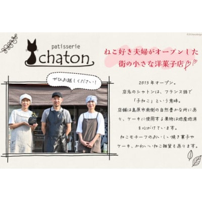 おいしい!かわいい!シャトンのねこスイーツ♪フィナンシェ4個 マドレーヌ2個