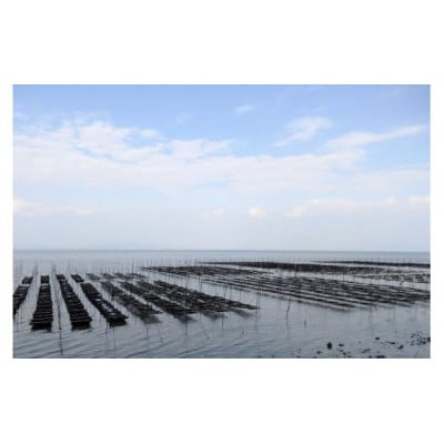有明海産 【島原のり(味付のり)・潮の舞(塩のり)】8切8枚入　各2袋 DE163