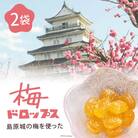 【長崎限定】島原城の梅を使った「梅ドロップス」 2袋　DF227