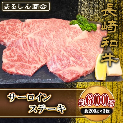 長崎和牛 サーロインステーキ 約600g(約200g×3枚)(島原市) AJ495