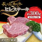 長崎和牛 ヒレステーキ 約300g(約150g×2枚)(島原市) AJ496