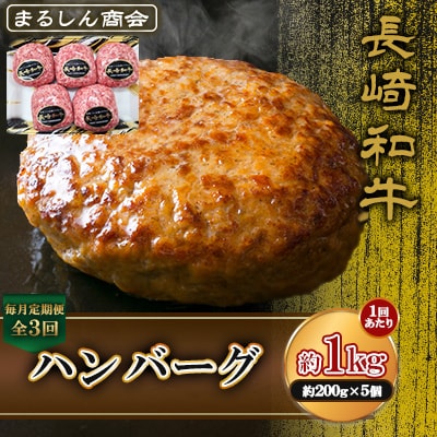 �y��������ցz����a�� �n���o�[�O ��1kg(��200g×5��)(�����s)�S3��