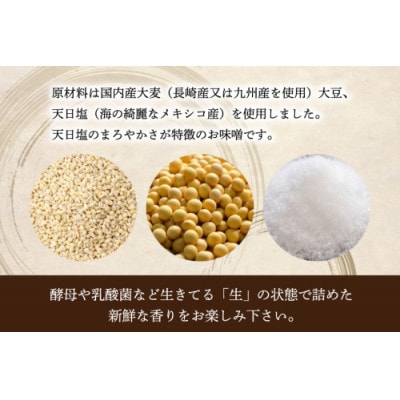 おろろんみそ900g 1個 AI231