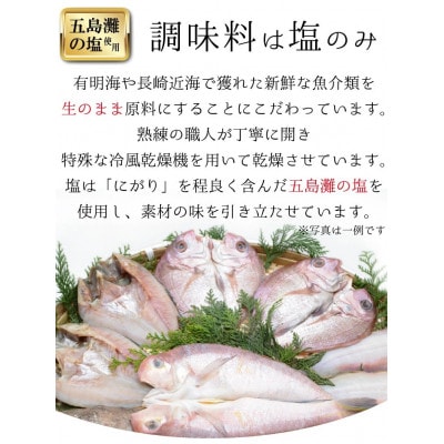 生原料にこだわった干物セット「極」BE120