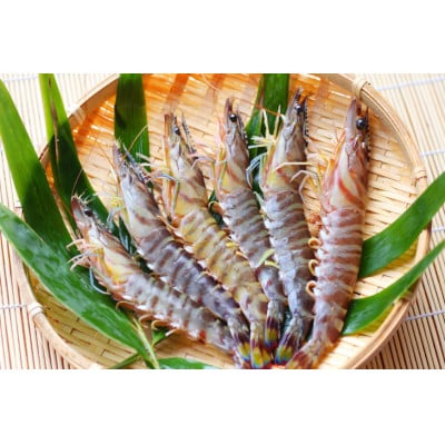 生原料にこだわった干物セット「極」BE120